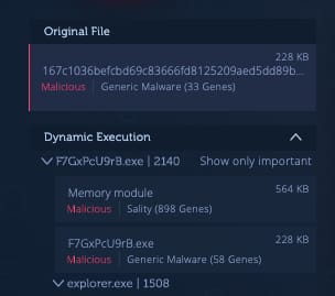 Sality genes from one of the hosted Windows malware samples