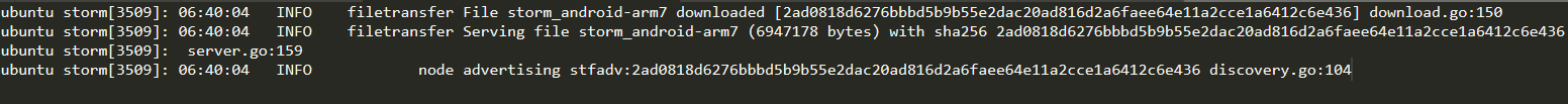 Screen capture from the log of the storm service showing the downloaded file.