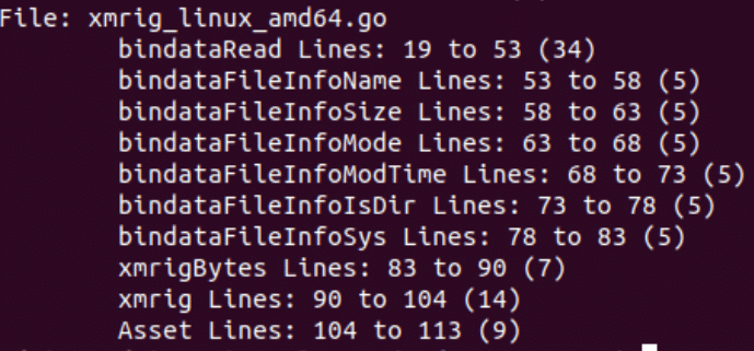 Figure 2: xmrig_linux_amd64.go file