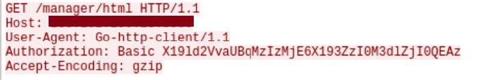 Figure 9: Example of an authentication request to the Tomcat admin panel