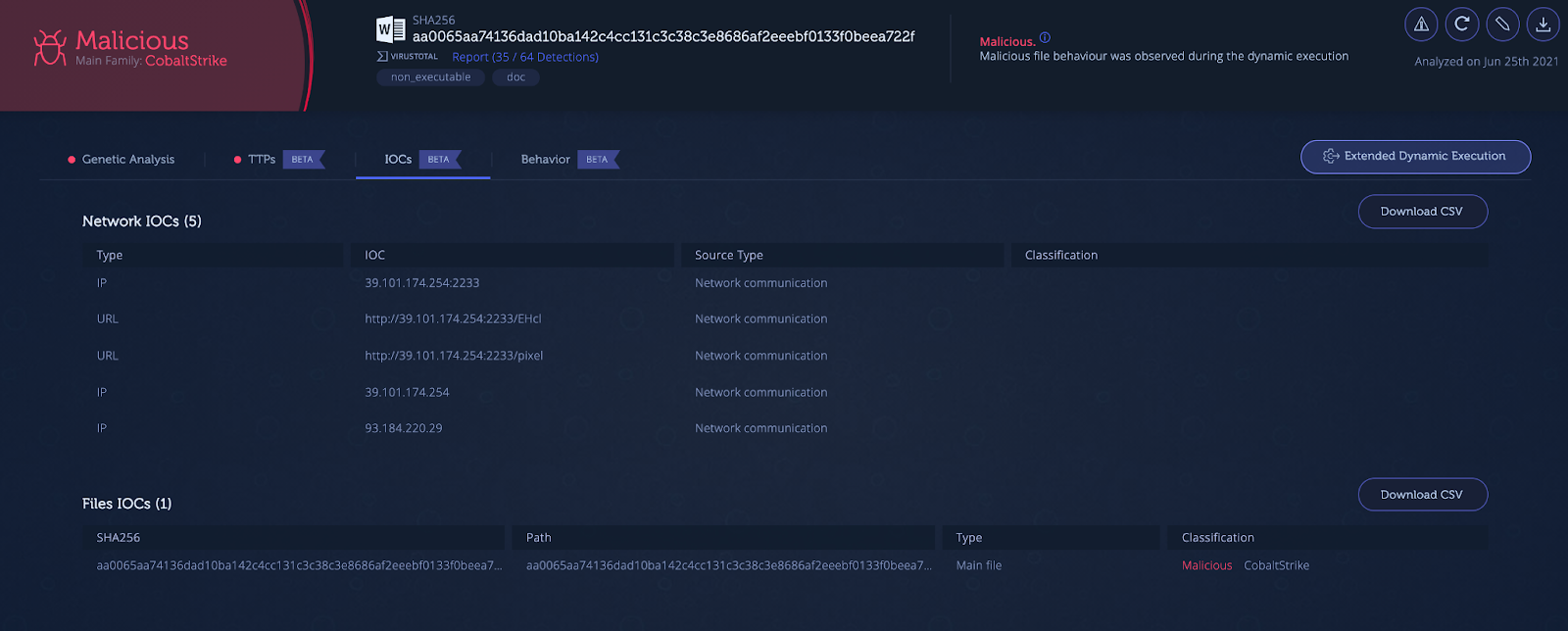 IoCs tab showing file and network indicators.
