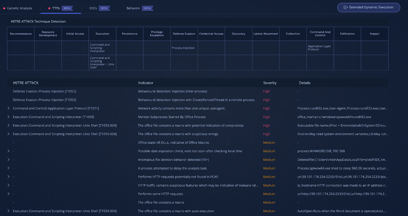 TTPs section showing capabilities detected during execution.