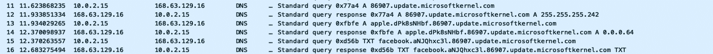 Packet capture of C2 communication