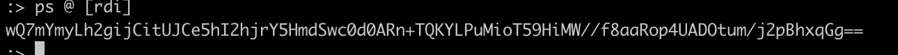 A DNS TXT query result for a task