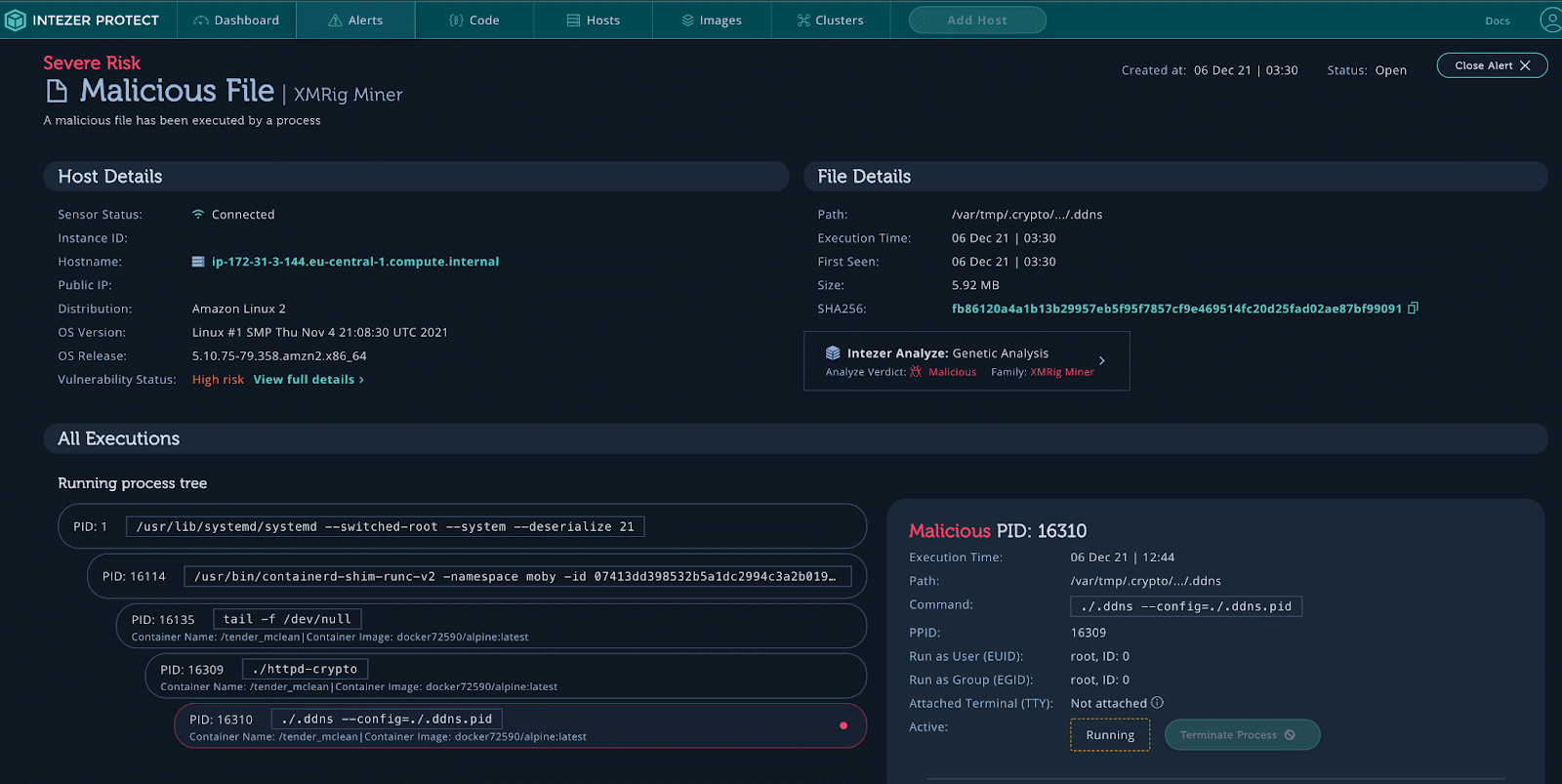 XMRig Miner alert.