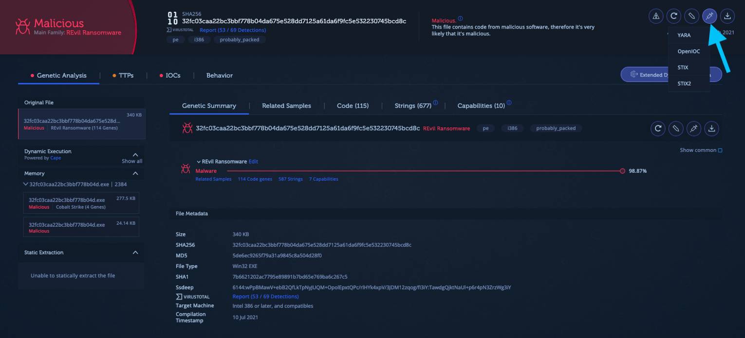 Generating a code-based vaccine in Intezer Analyze.