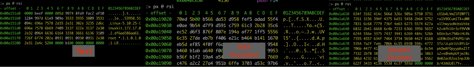 The collected information (left), encrypted information(middle), encrypted and encoded information(right).