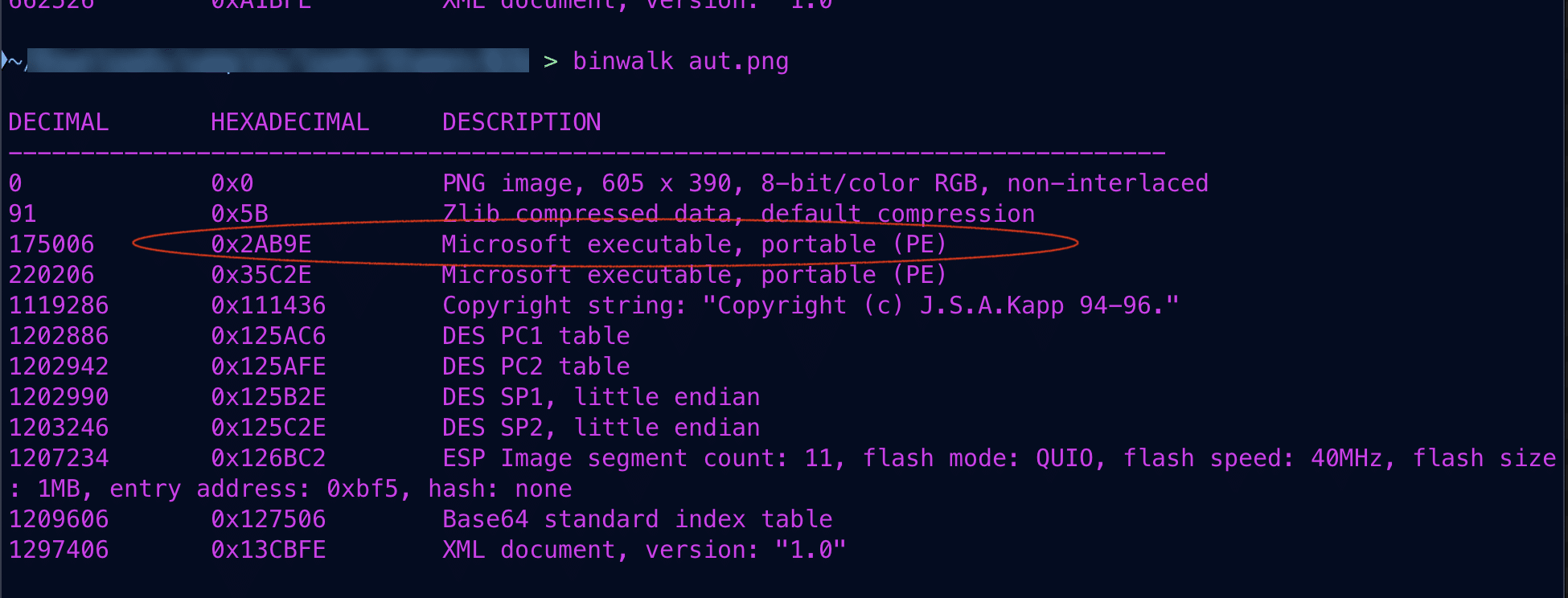 Binwalk output for one of the PNG files used by the loader, demonstrating that it has a Windows executable (PE) at offset 0x2AB9E.